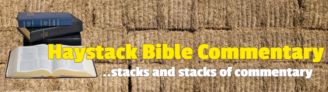 Haystack Bible Commentary